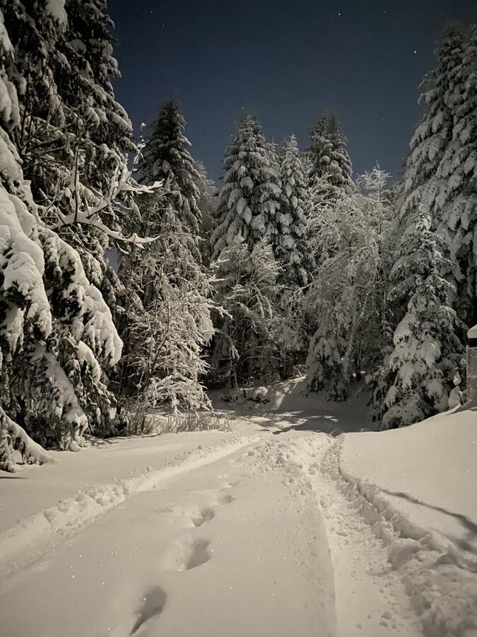 Mountain Cottage Lubomierz Lubomierz  المظهر الخارجي الصورة