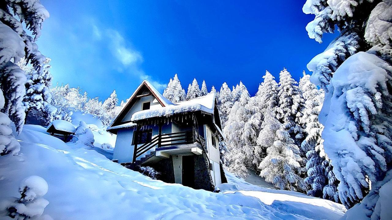 Mountain Cottage Lubomierz Lubomierz  المظهر الخارجي الصورة
