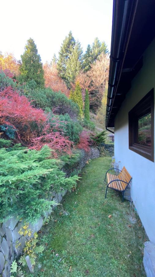 Mountain Cottage Lubomierz Lubomierz  المظهر الخارجي الصورة